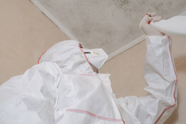 Best Mold Remediation for Schools in Williamsburg, PA