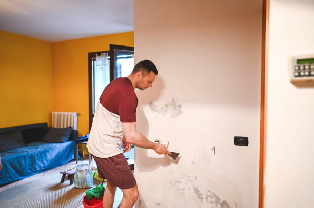 Best White Mold Remediation in Williamsburg, PA